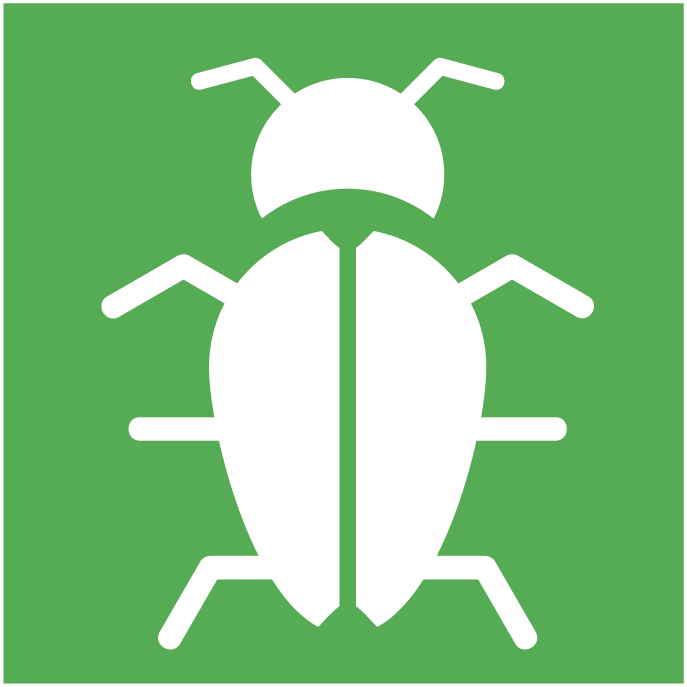 Insects icon