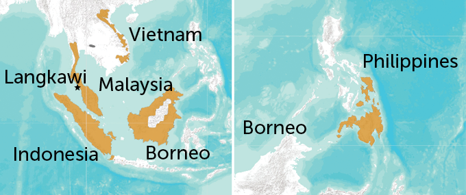 a map of Southeast Asia with the colugos' range highlighte