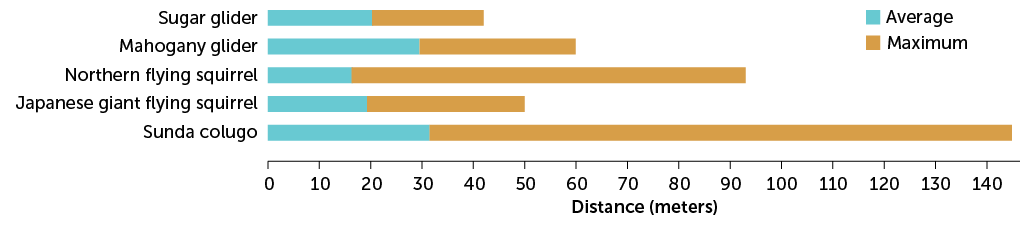 graph of the gliding distances of different mammals