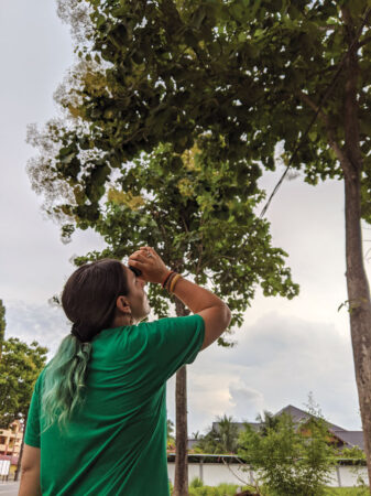 Priscilla Miard looking up into a tree