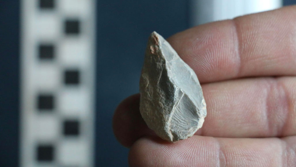 a photo of what might be an ancient stone tool