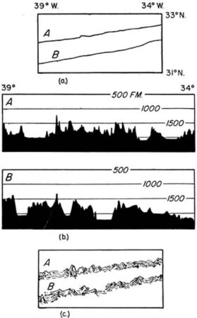 black and white graphs of data