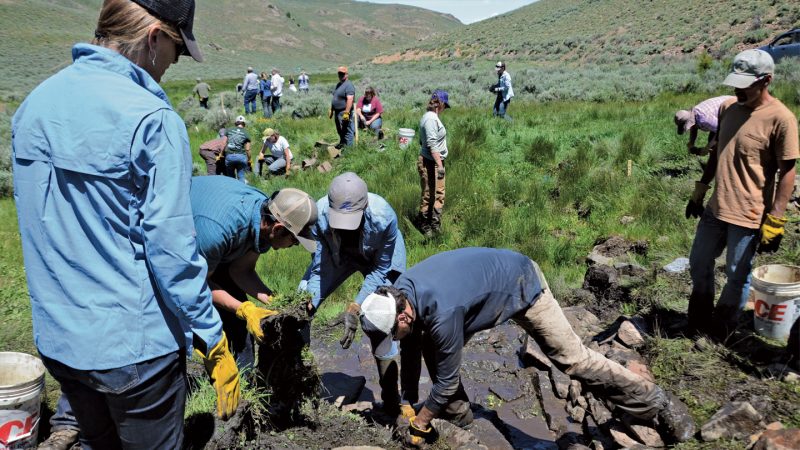 Conservation workers building a simple dam at a creek