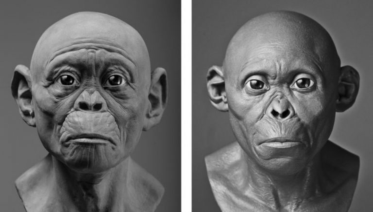 New depictions of ancient hominids aim to overcome artistic biases ...