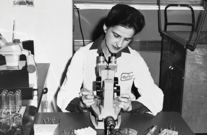 black and white image of Beatrice Mintz looking into a microscope