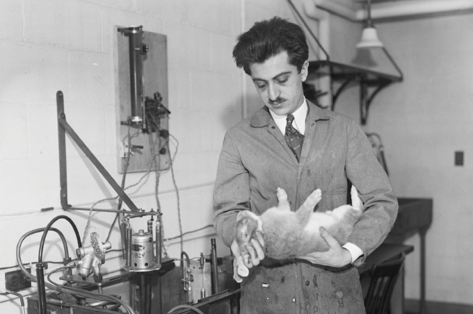 Gregory Pincus holding a rabbit in the lab