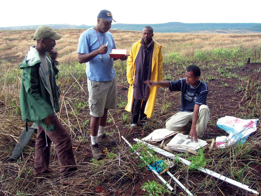 researchers collecting samples of a small plant