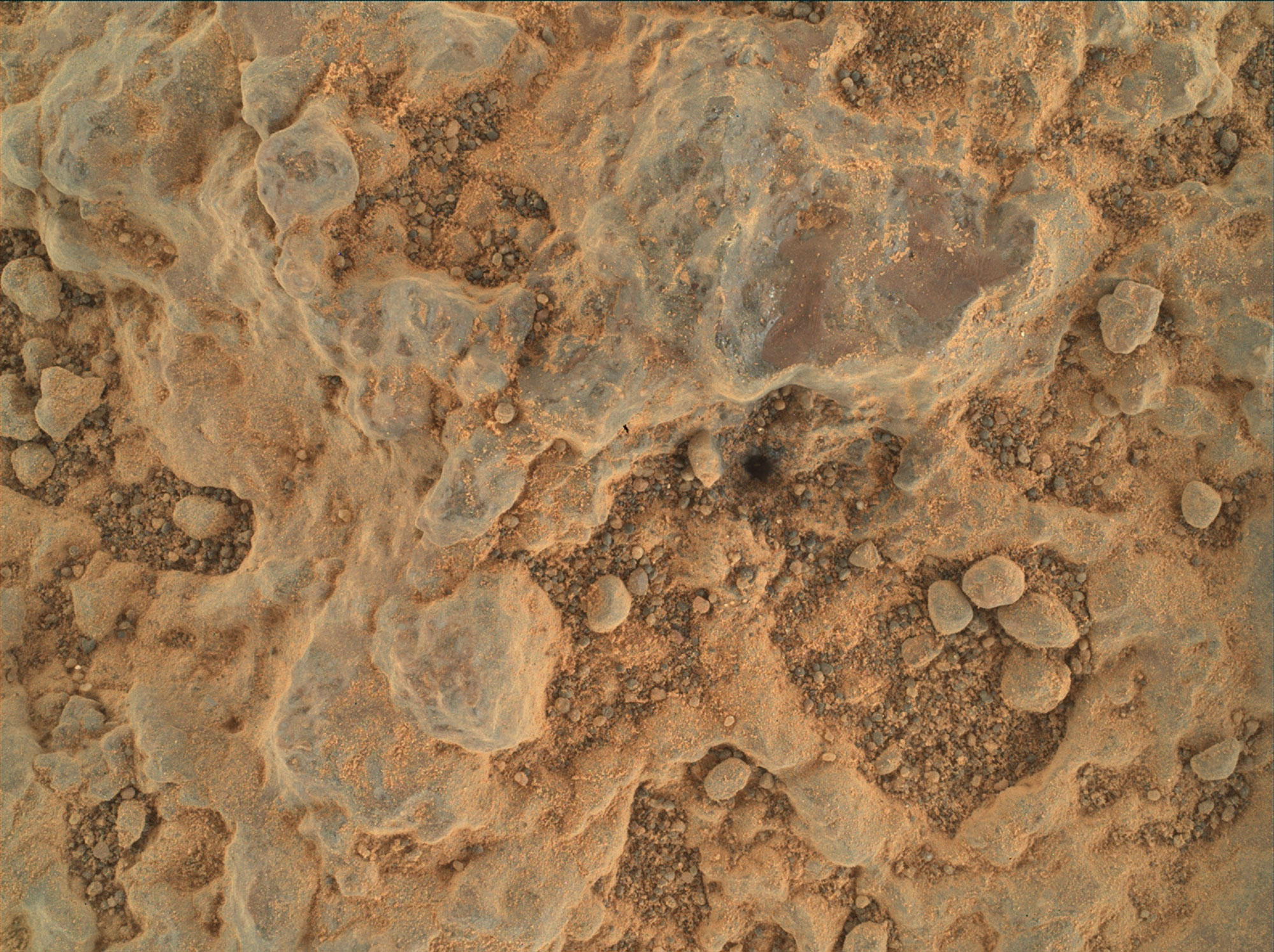 closeup of textured martian rock