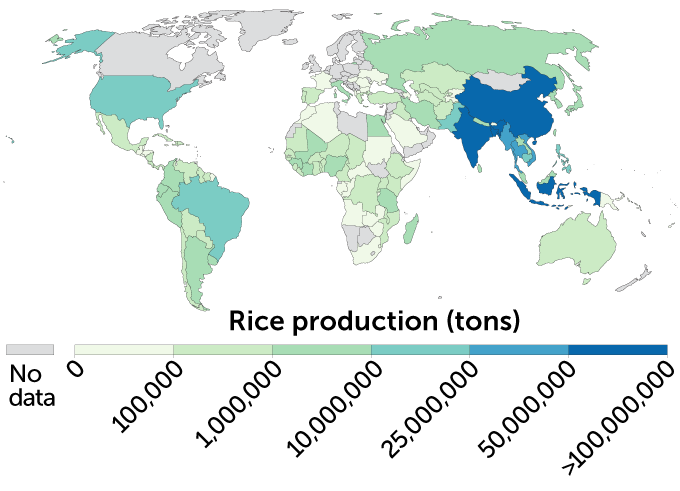 a map showing where rice is grrown around the world