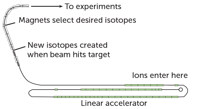 diagram showing how FRIB accelerators work