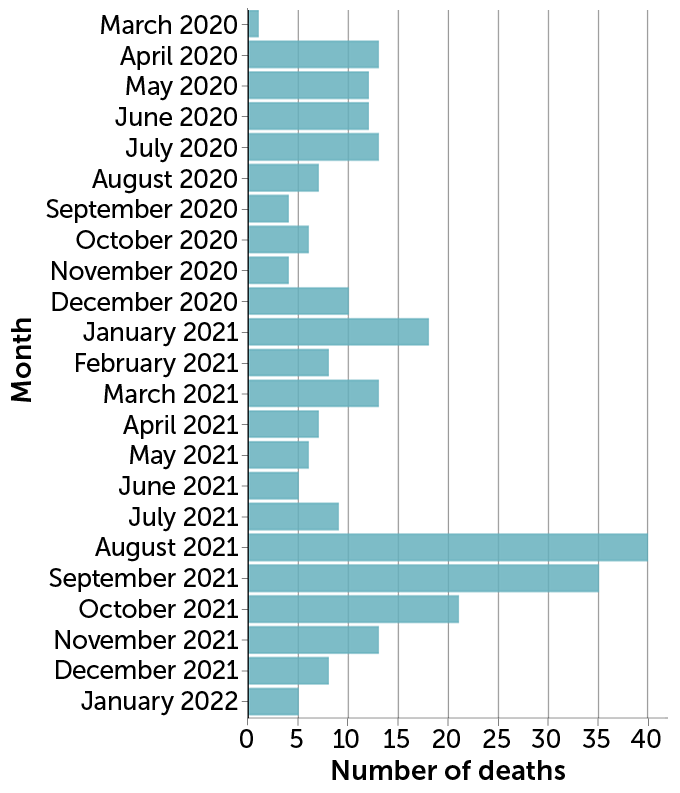 Deaths among pregnant people with COVID-19, by month