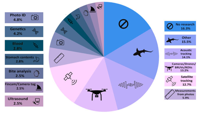 a pie chart from an Analyze This story