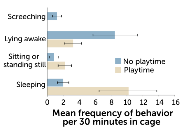 bar chart showing ferrets' mean frequency of behavior (screeching, lying awake, sitting or standing still, sleeping) per 30 minutes in cage