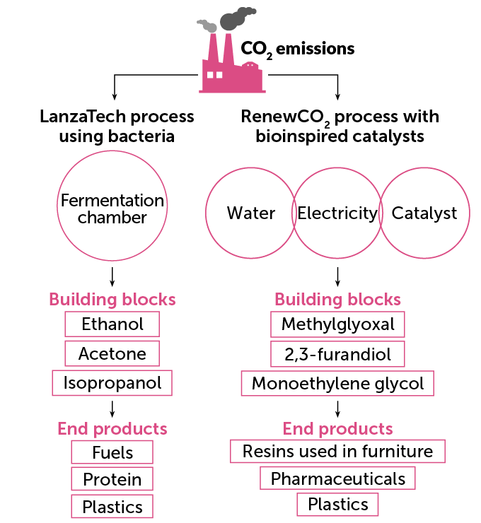 flow chart showing how CO2 emissions are converted via the LanzaTech process using bacteria and the RenewCO2 process with bioinspired catalysts. LanzaTech uses a fermentation chamber to turn CO2 into ethanol, acetone and isopropanol, which are then used to make fuels, proteins and plastics. Renew CO2 creates building blocks like methylglyoxal, 2,3-furandiol, and monoethylene glycol to make end products like resins used in furniture, plastics and pharmaceuticals.