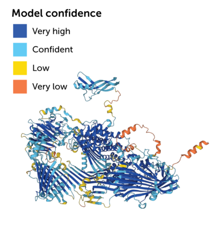 predicted model of vitellogenin