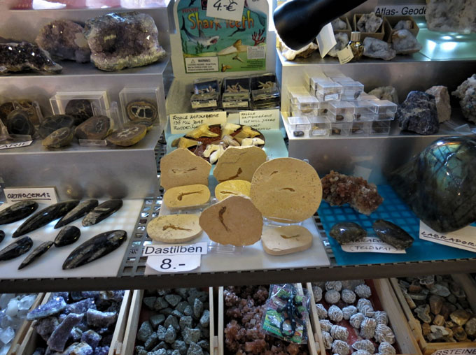 Fish fossils from Brazil sit in a gift shop in a German museum, surrounded by other rocks and trinkets.