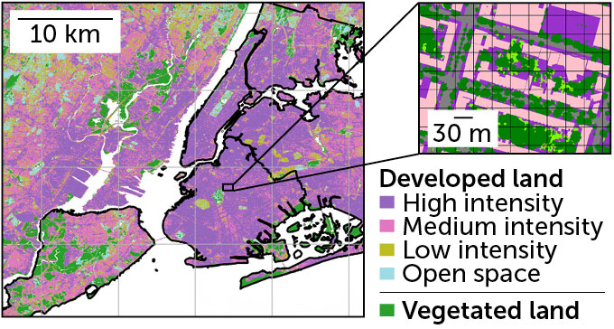 A map of New York City with developed areas shown in purple and vegetation in green. The inset on the right shows a zoomed-in section of the city with more green visible than purple.