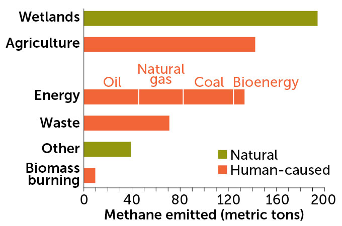 A bar chart shows methane emissions in 2022 by source and color-coded by natural causes in green or human causes in orange. Wetlands emit the most methane via natural causes. Agriculture comes in second (entirely human-caused) and energy comes in third (also entirely human-caused and broken down by oil, natural gas, coal, and bioenergy).