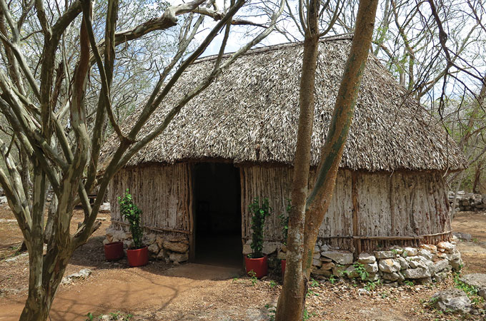 A modern thatched-roof hut