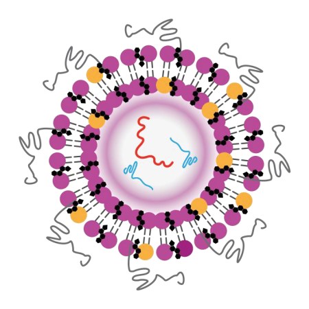 A gene editing technique shows promise for lowering LDL cholesterol 