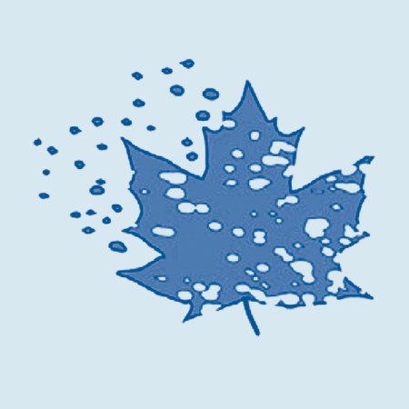 degrading leaf icon