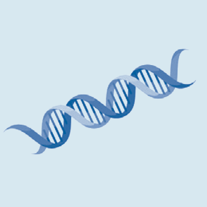 DNA icon