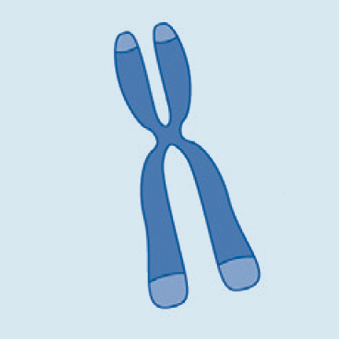 chromosome icon