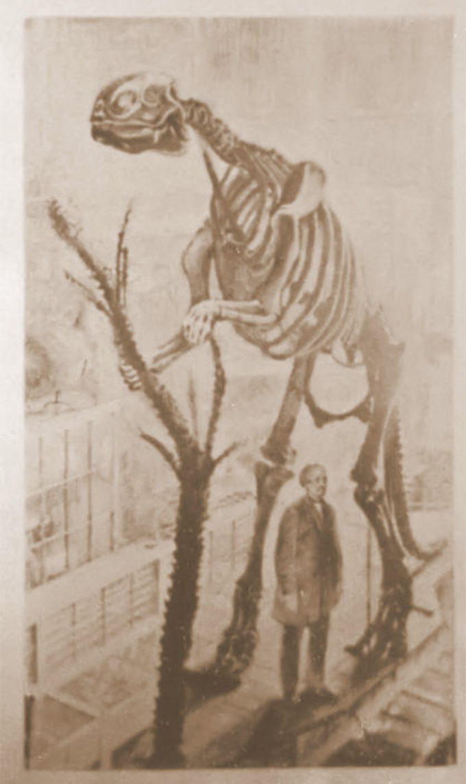 A 19th century black-and-white drawing of a duck-billed dinosaur skeleton on display