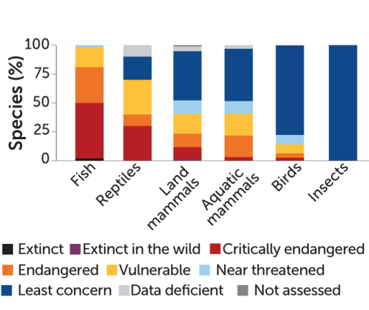 Migratory fish species are in drastic decline, a new UN report details