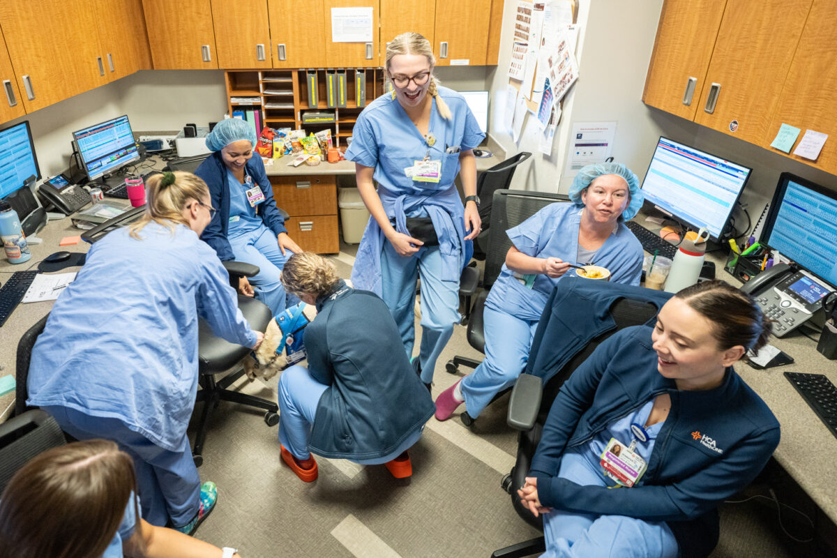 Dogs Paired With Providers at Hospitals Help Ease Staff and Patient Stress